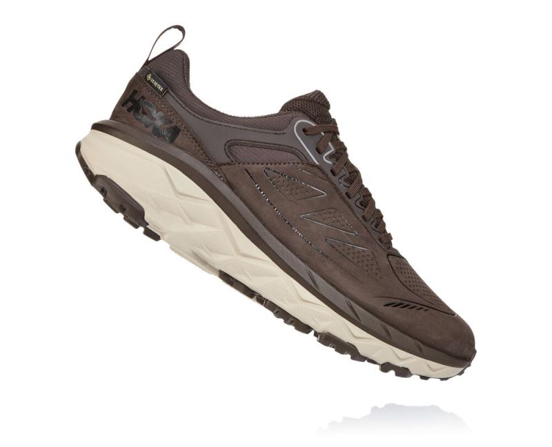 Hoka One One Challenger Low GORE-TEX Homem - Tenis Corrida Trilha Cafes | PT-DvoFmRQ